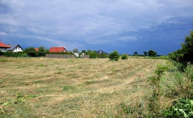 Działka rolna Lubczyna. Zdjęcie 3