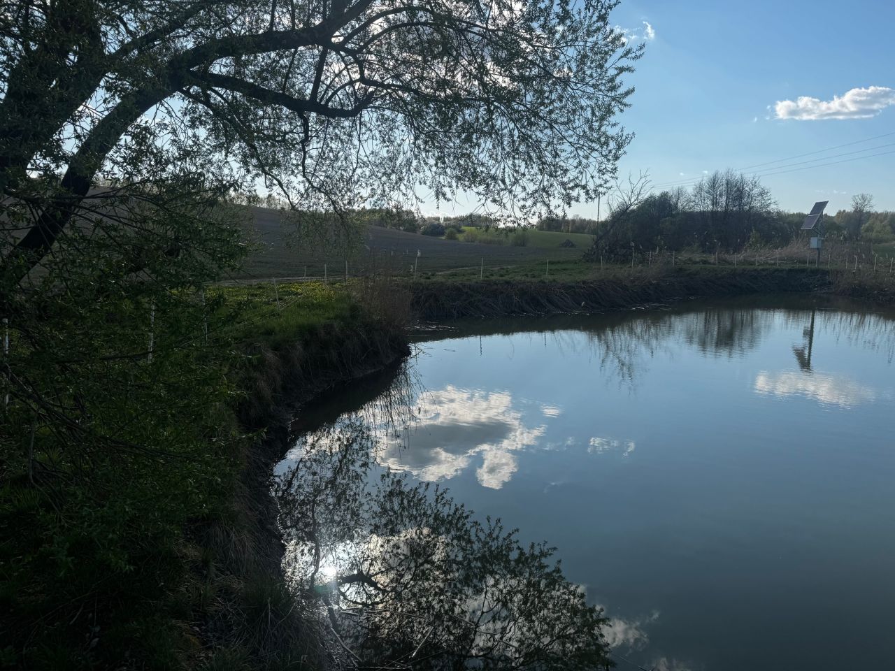 Działka rolno-budowlana Błędowa Zgłobieńska. Zdjęcie 3