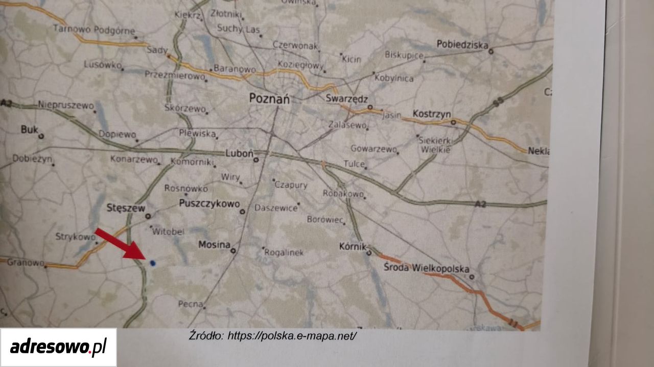 Działka rolno-budowlana Będlewo, ul. Wiejska. Zdjęcie 17