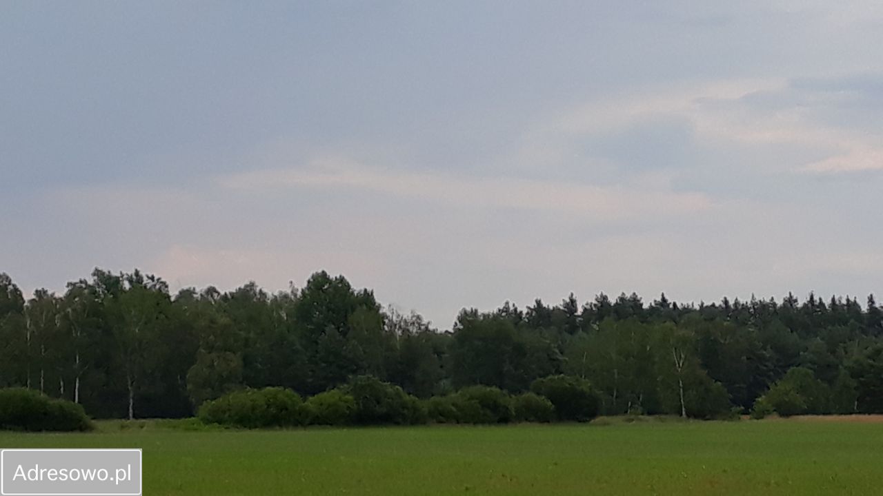 Działka rolna Pokój. Zdjęcie 3