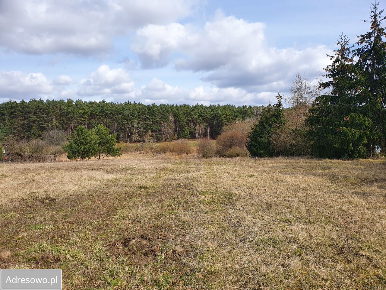 Działka siedliskowa Łódź. Zdjęcie 4