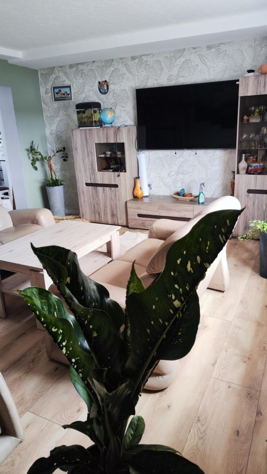 siedlisko, 6 pokoi Kwiatków. Zdjęcie 12