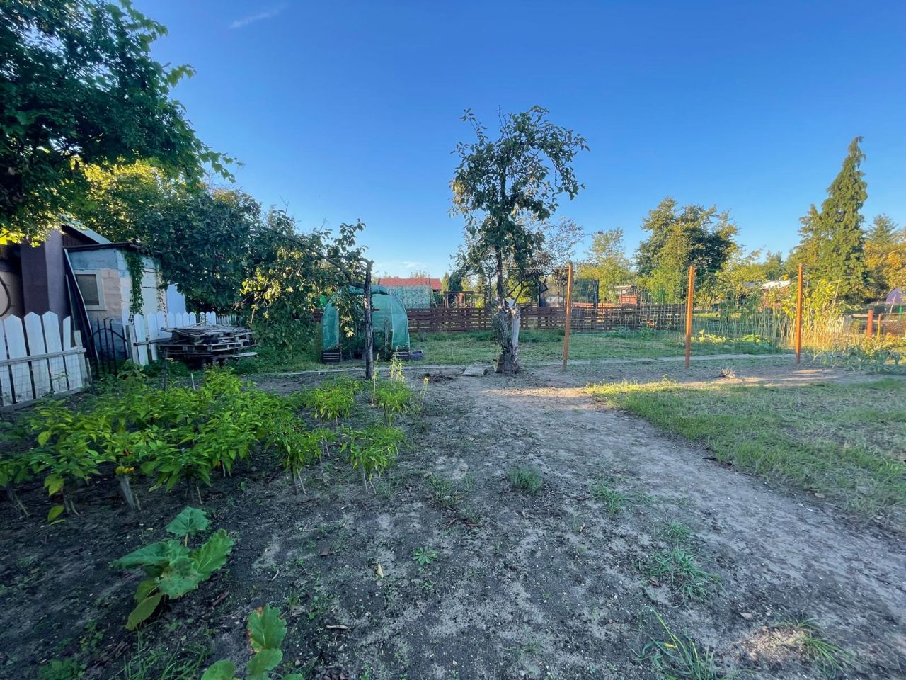 Działka rod Wrocław Stabłowice, ul. Górecka. Zdjęcie 7