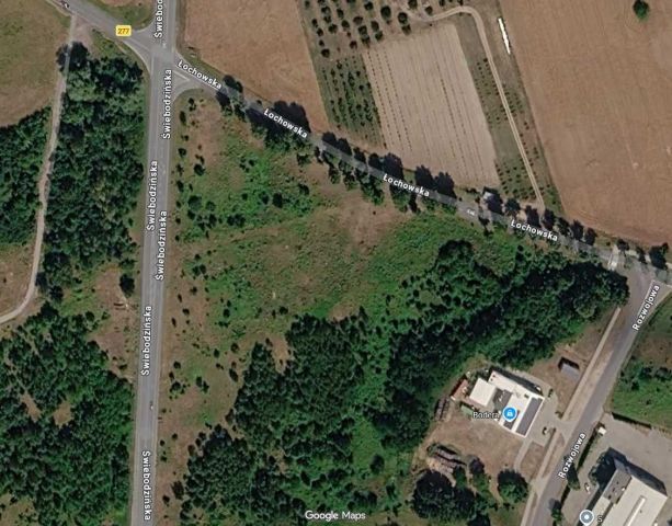 Działka inwestycyjna Brzezie k. Sulechowa. Zdjęcie 1