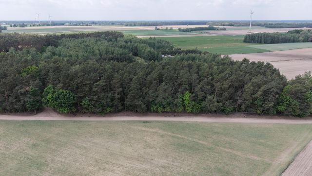 Działka rekreacyjna Gromadzyn. Zdjęcie 2