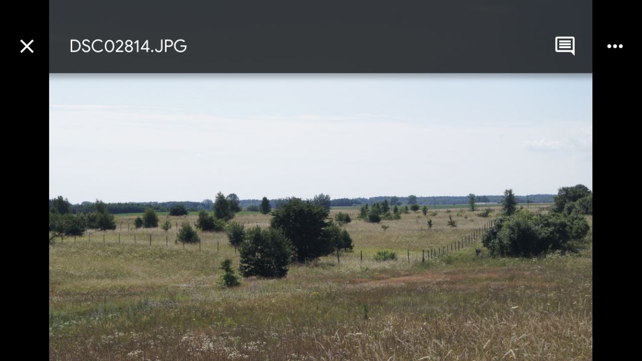 Działka rolna Kwik. Zdjęcie 4