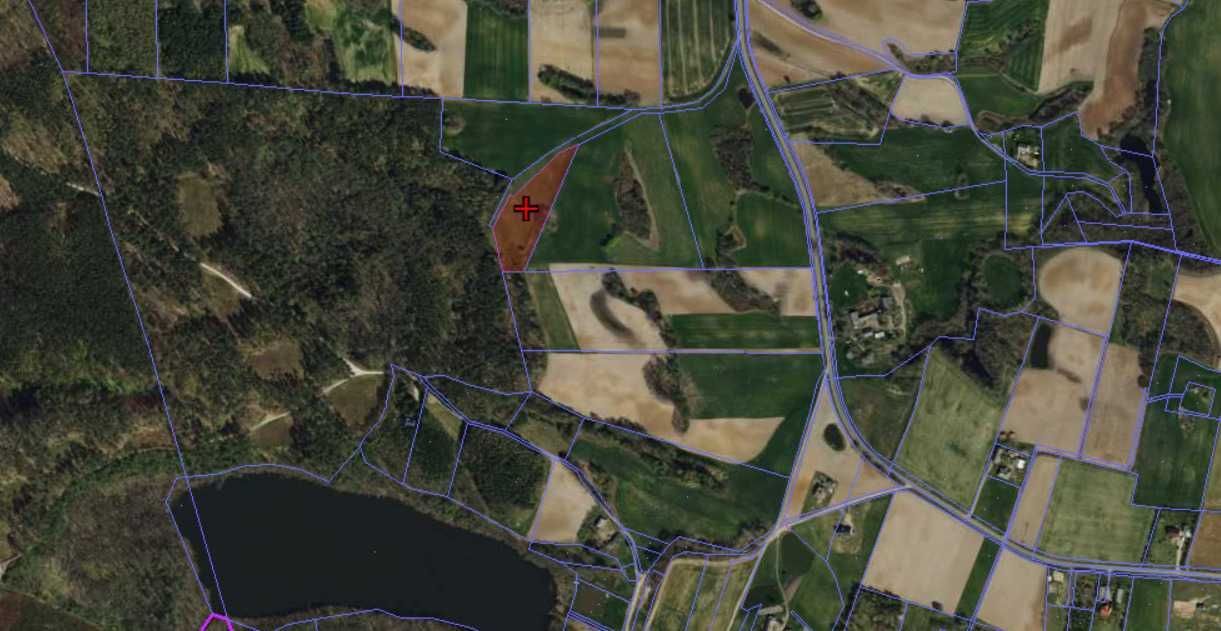 Działka rolno-budowlana Radzynek. Zdjęcie 4