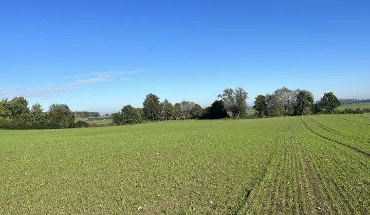 Działka rolno-budowlana Chociule