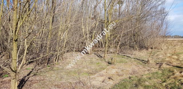 Działka budowlana Sochaczew. Zdjęcie 2