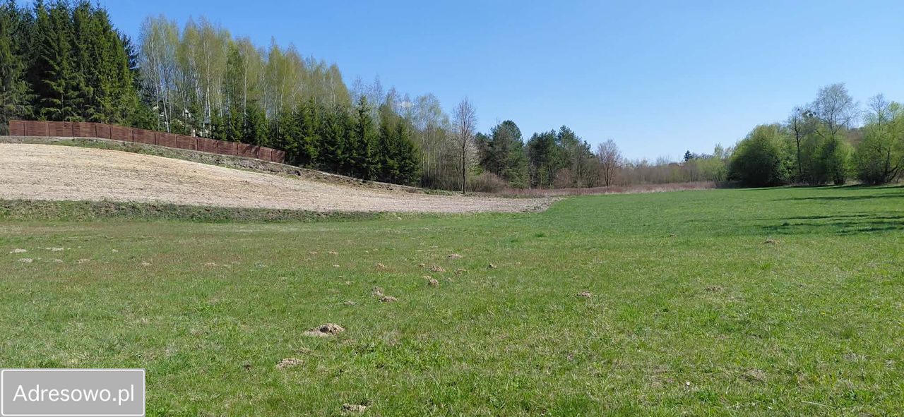 Działka siedliskowa Rzeczyca-Kolonia. Zdjęcie 1