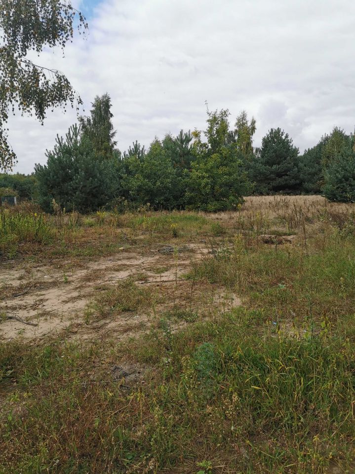 Działka rekreacyjna Mielinek. Zdjęcie 6