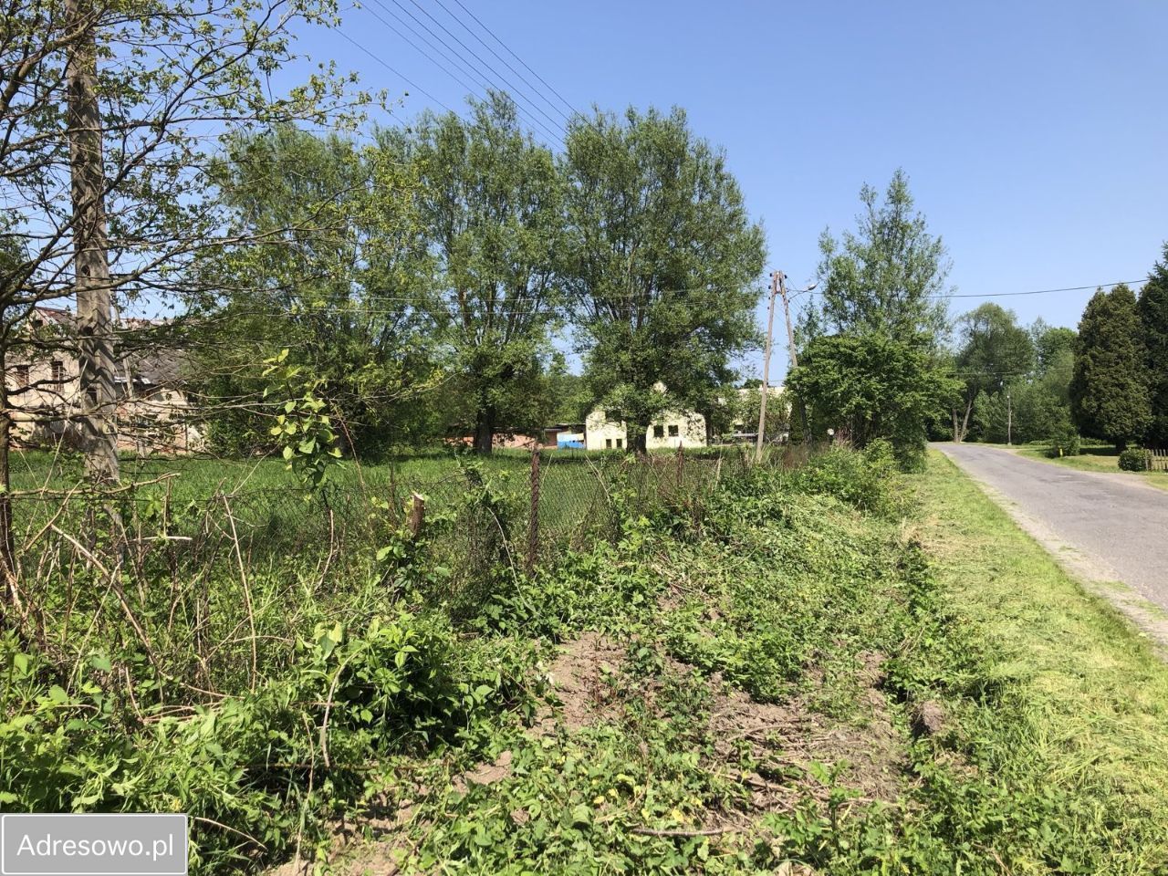 Działka rolna Niwa. Zdjęcie 7