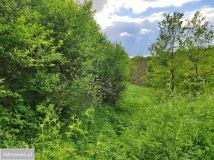 Działka budowlana Łąkie. Zdjęcie 2