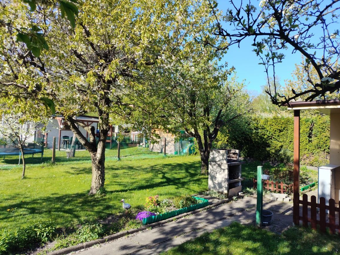 Działka rod Gliwice Szobiszowice. Zdjęcie 8