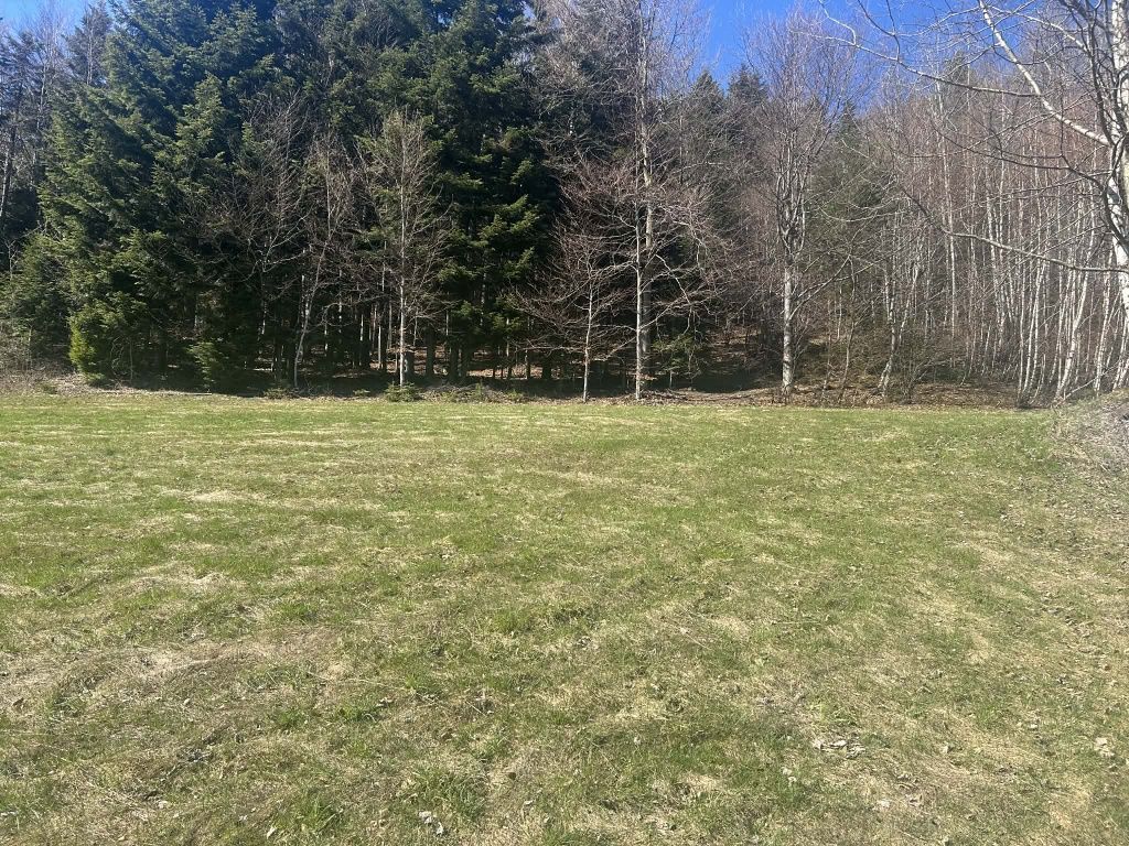 Działka rolna Żmiąca. Zdjęcie 2