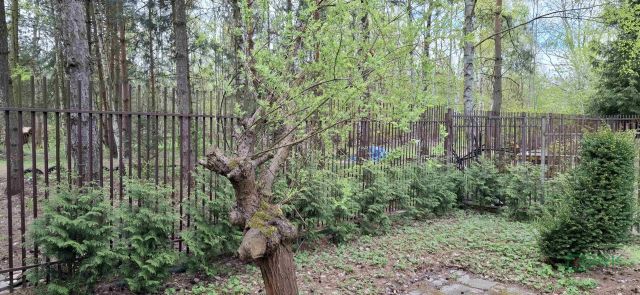 Działka Sosnowiec Milowice, ul. Przygraniczna. Zdjęcie 7