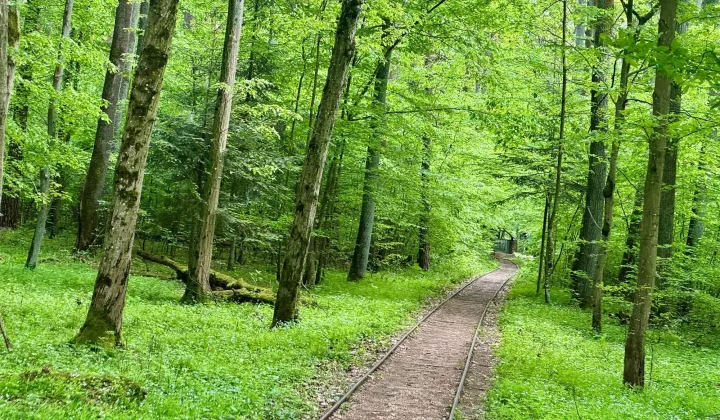 Działka budowlana Rudka