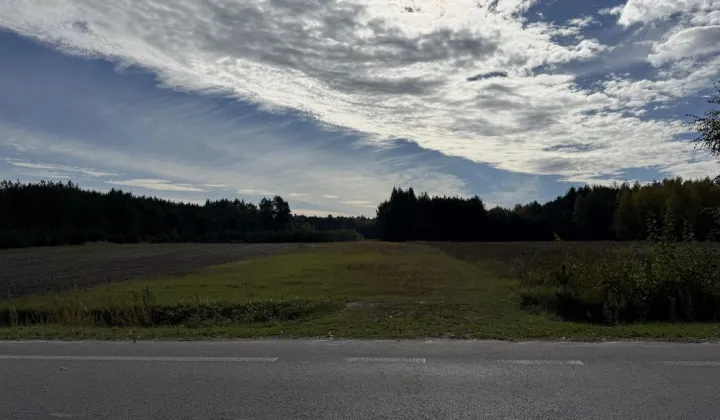 Działka rolno-budowlana Ruda Żelazna