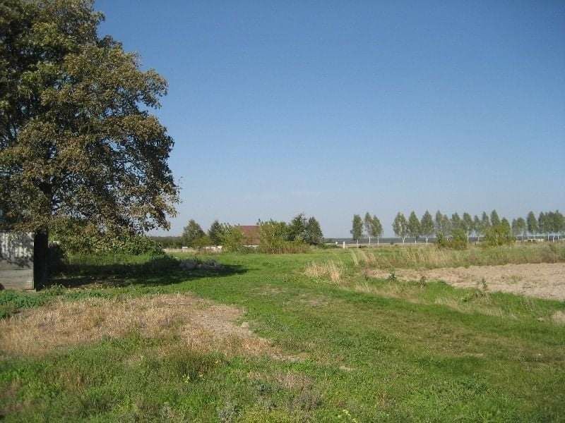 Działka budowlana Załuski, ul. Leśna. Zdjęcie 6