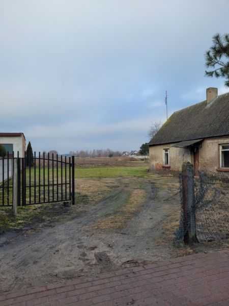 Działka rolno-budowlana Zacharzew, ul. Cegłowa. Zdjęcie 5