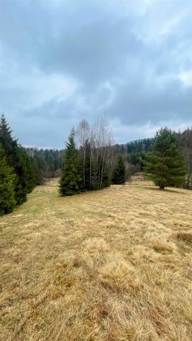 Działka rolna Tylicz. Zdjęcie 4