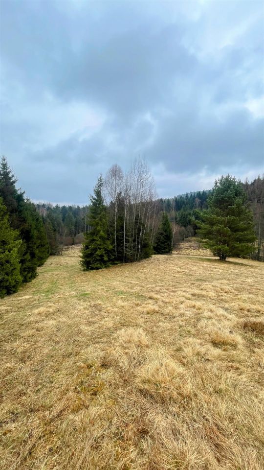 Działka rolna Tylicz. Zdjęcie 4