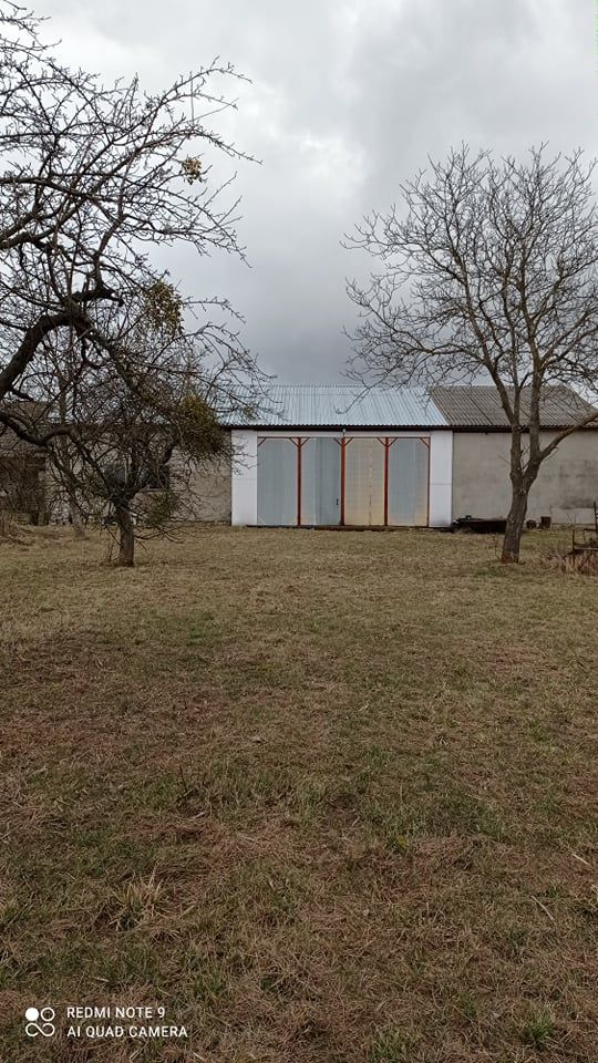 Hala/magazyn Wielka Wieś, ul. Strzelecka. Zdjęcie 9