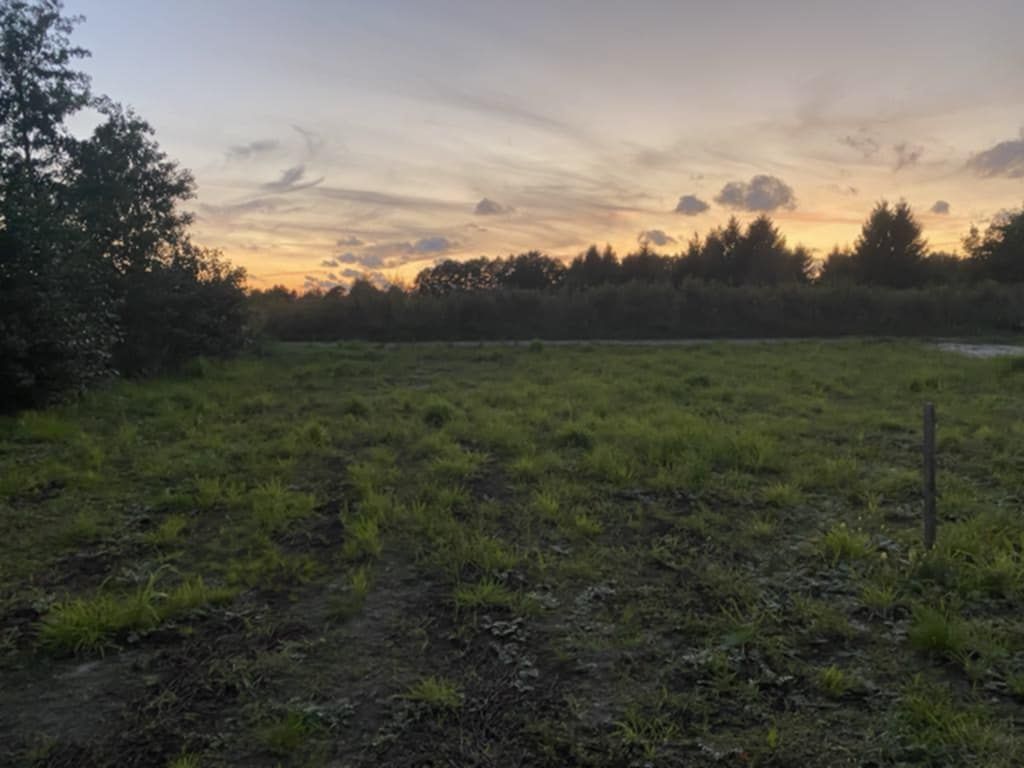Działka rolna Karwieńskie Błoto Drugie. Zdjęcie 6