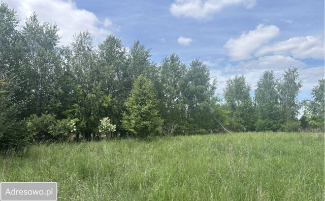 Działka budowlana Niedary. Zdjęcie 1