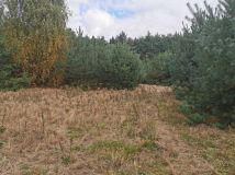 Działka rekreacyjna Mielinek. Zdjęcie 4