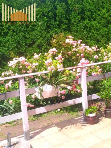 dom wolnostojący, 6 pokoi Warszawa Wawer. Zdjęcie 28