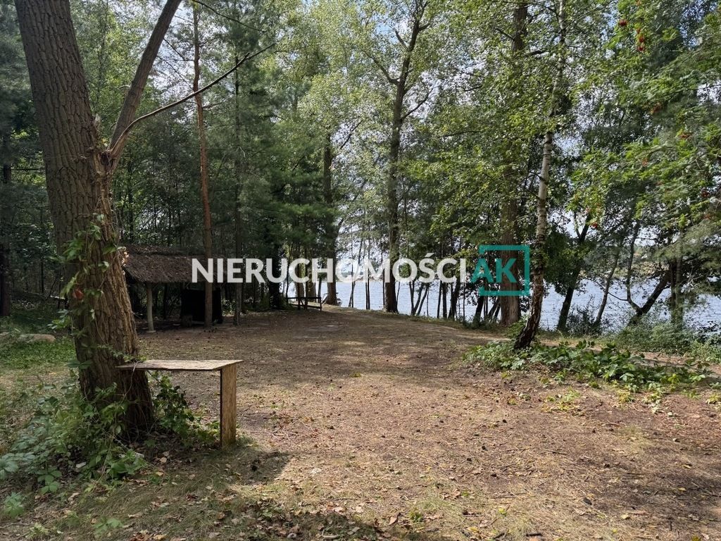 Działka leśna Głębockie Pierwsze. Zdjęcie 3