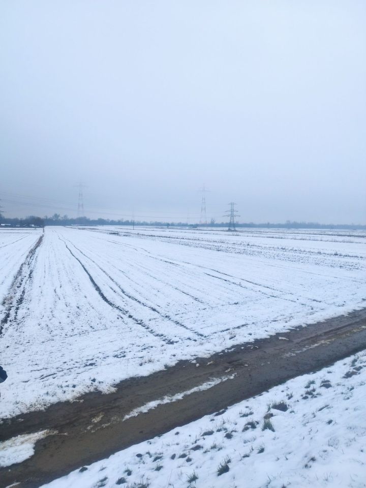 Działka rolna Świerże Górne. Zdjęcie 4