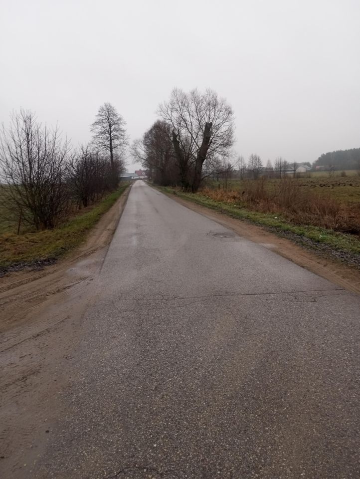 Działka rolno-budowlana Sojczyn Borowy. Zdjęcie 7