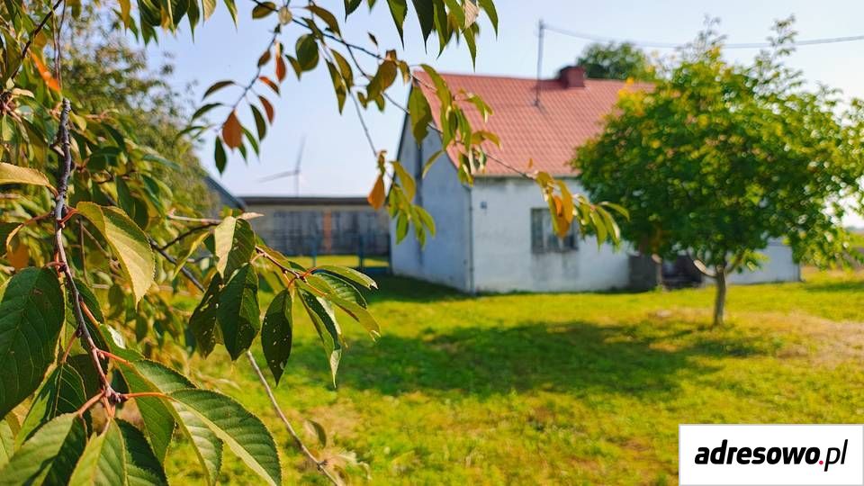 gospodarstwo Osieczek. Zdjęcie 12