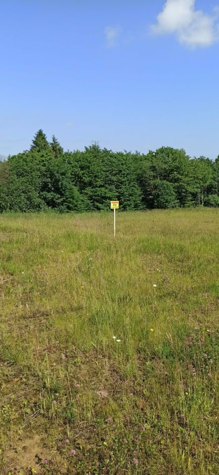 Działka rolna Wołkowyja. Zdjęcie 4