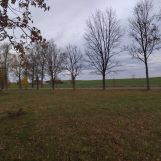 Działka rolna Mazuchówka. Zdjęcie 3