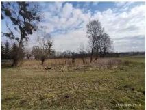 Działka siedliskowa Kolno. Zdjęcie 3