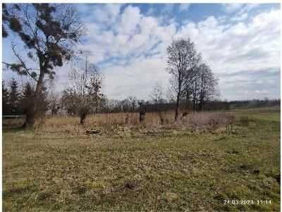 Działka siedliskowa Kolno. Zdjęcie 4
