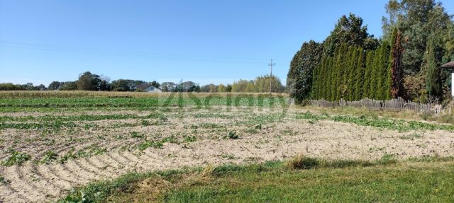 Działka rolna Bieniewo-Parcela. Zdjęcie 1