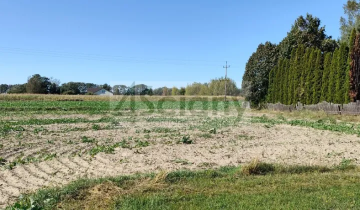 Działka rolna Bieniewo-Parcela