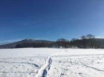 Działka budowlana Goszów. Zdjęcie 2