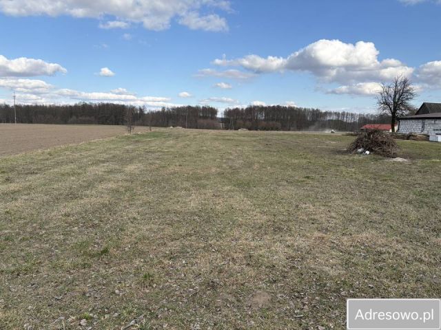 Działka budowlana Kondrajec. Zdjęcie 1