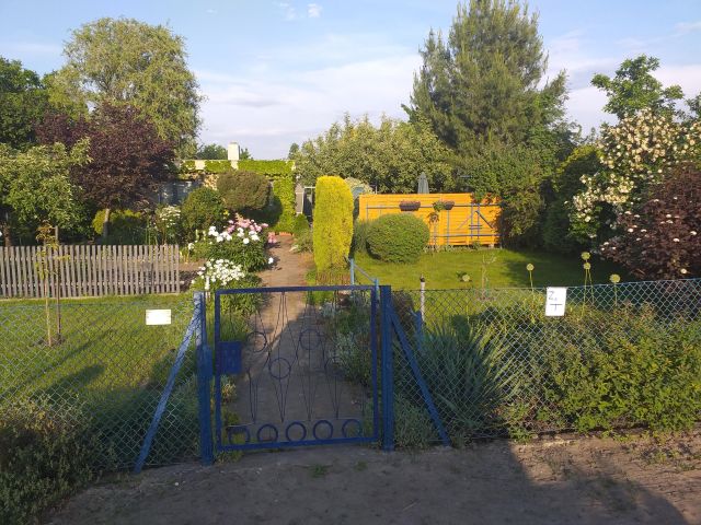 Działka rod Ostrów Wielkopolski Krępa, ul. Kaliska. Zdjęcie 1