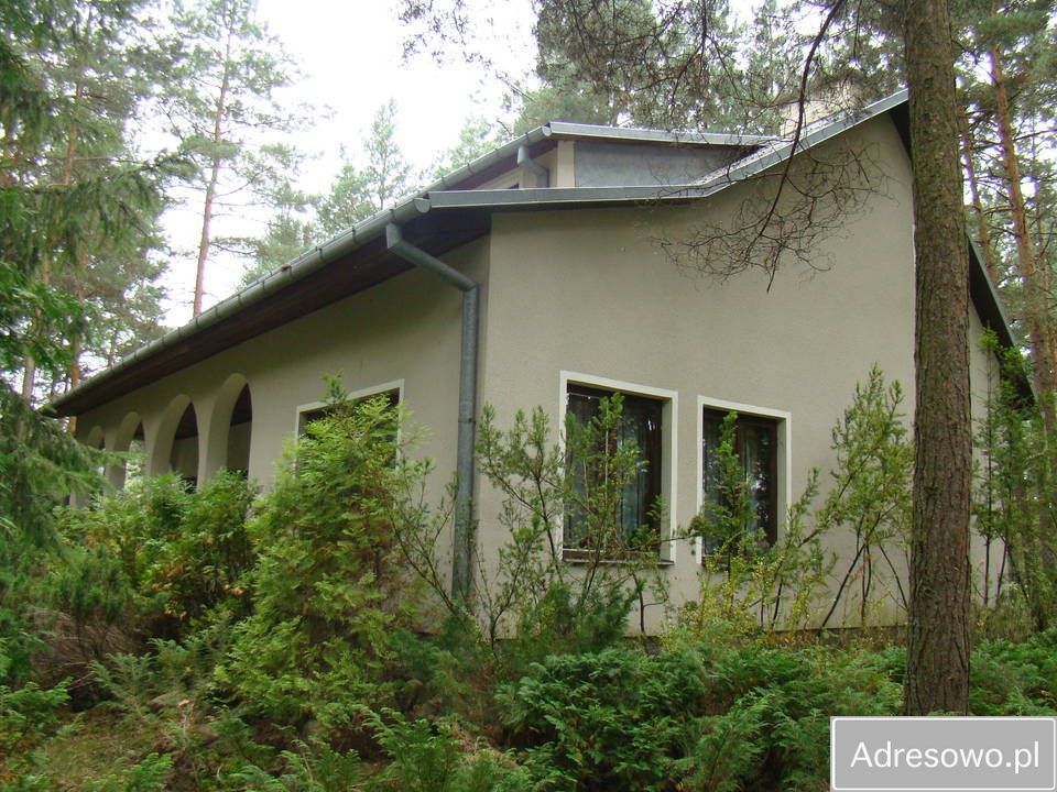 Działka Starowola. Zdjęcie 2