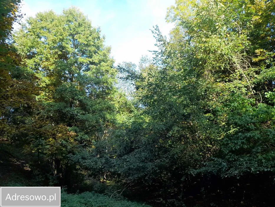 Działka rolno-budowlana Kominki. Zdjęcie 6