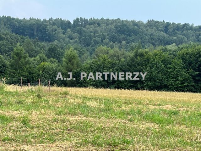Działka budowlana Grajów. Zdjęcie 4