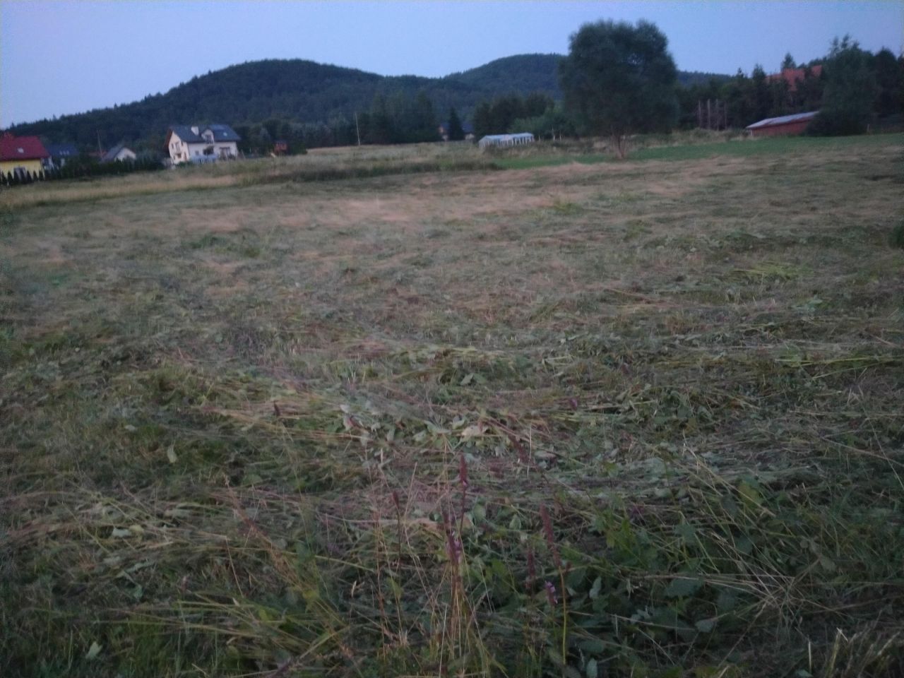 Działka budowlana Wysowa-Zdrój. Zdjęcie 6