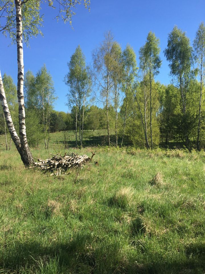 Działka budowlana Graniczna Wieś Pruska Karczma, ul. Jarzębinowa. Zdjęcie 18