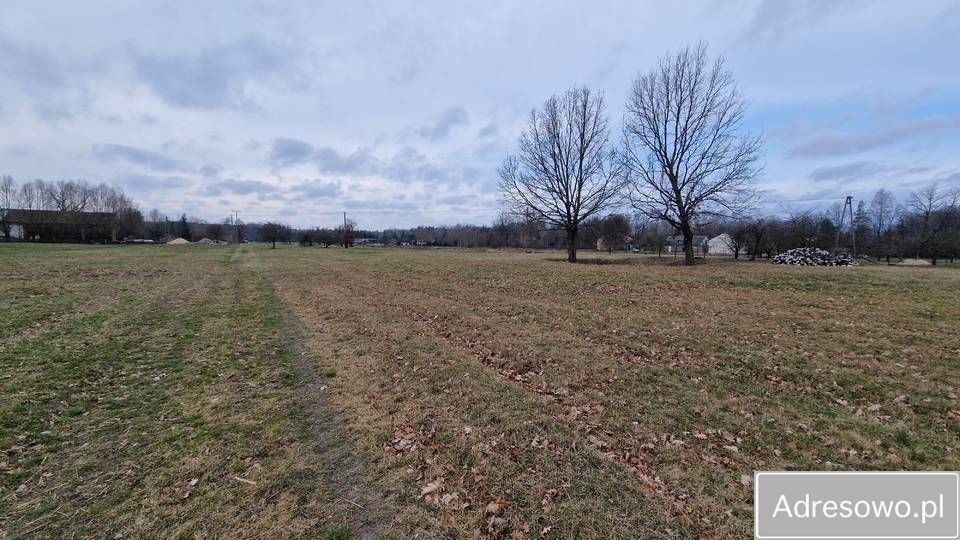 Działka inwestycyjna Gąsocin, ul. Pułtuska. Zdjęcie 3